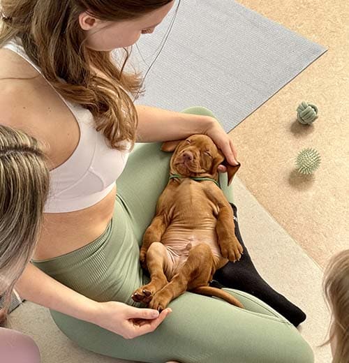 Pets Yoga Olomouc